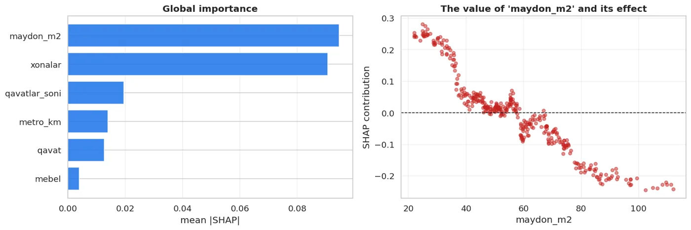 Left: which features matter overall. Right: how the effect of the most important feature changes as its value rises.