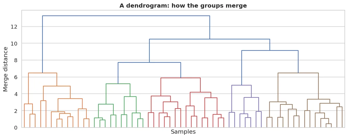From the bottom up: every point starts in its own group, then they merge step by step. A horizontal cut gives you K.