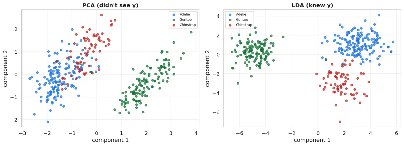 Both brought 4 dimensions down to 2. In LDA the classes are tighter and more clearly separated, because that's exactly what it aimed for.