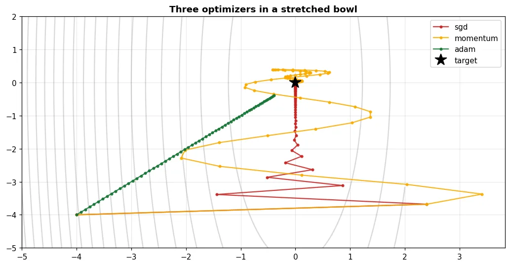 SGD zigzags. Momentum is smoother. Adam adapts its step to each axis.