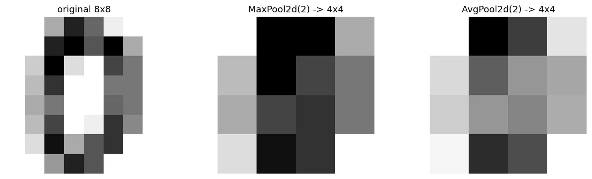 Pooling halves the size. MaxPool keeps the strongest signal, AvgPool the average.
